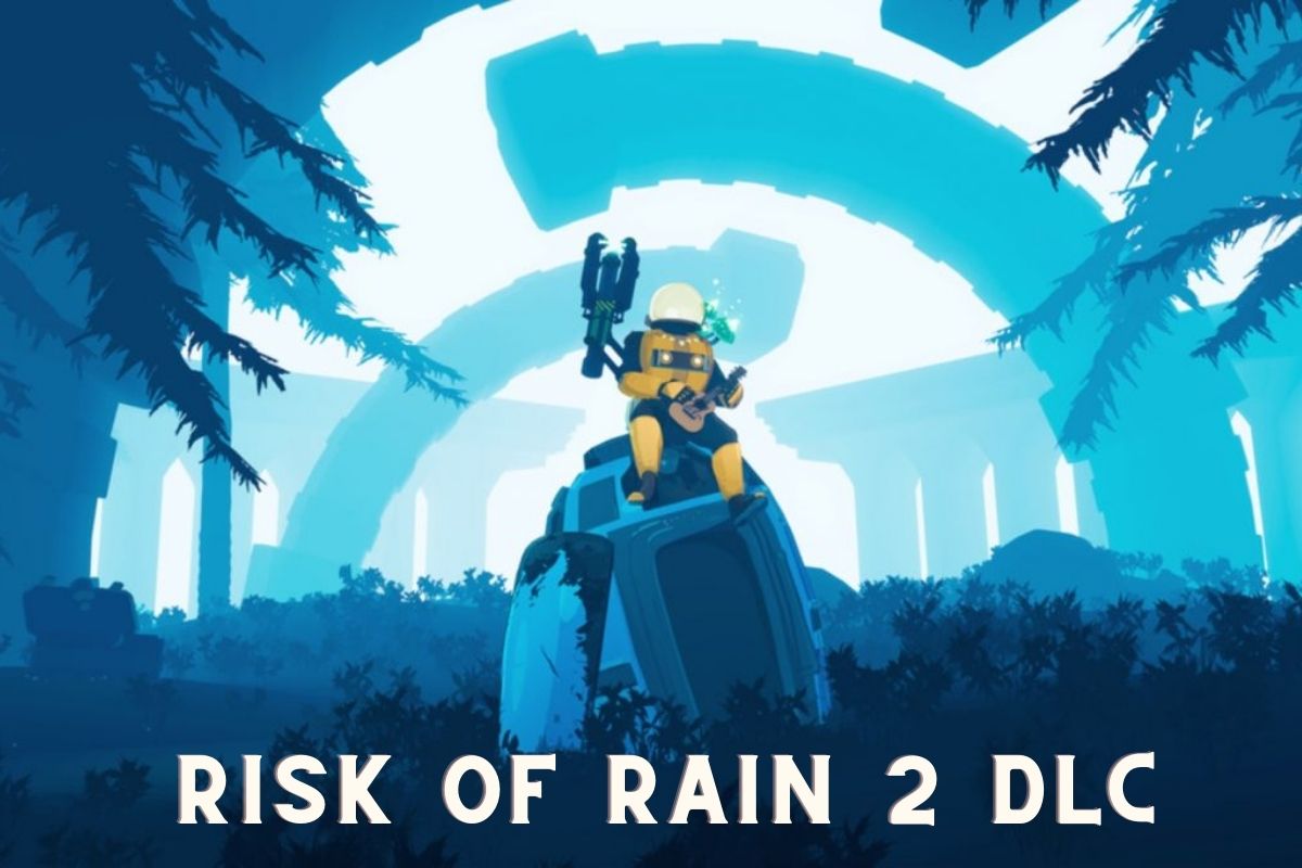 risk of rain 2 dlc