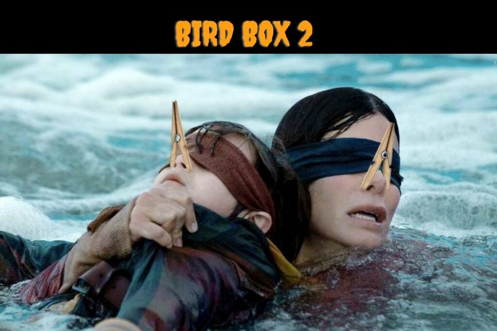 bird box 2