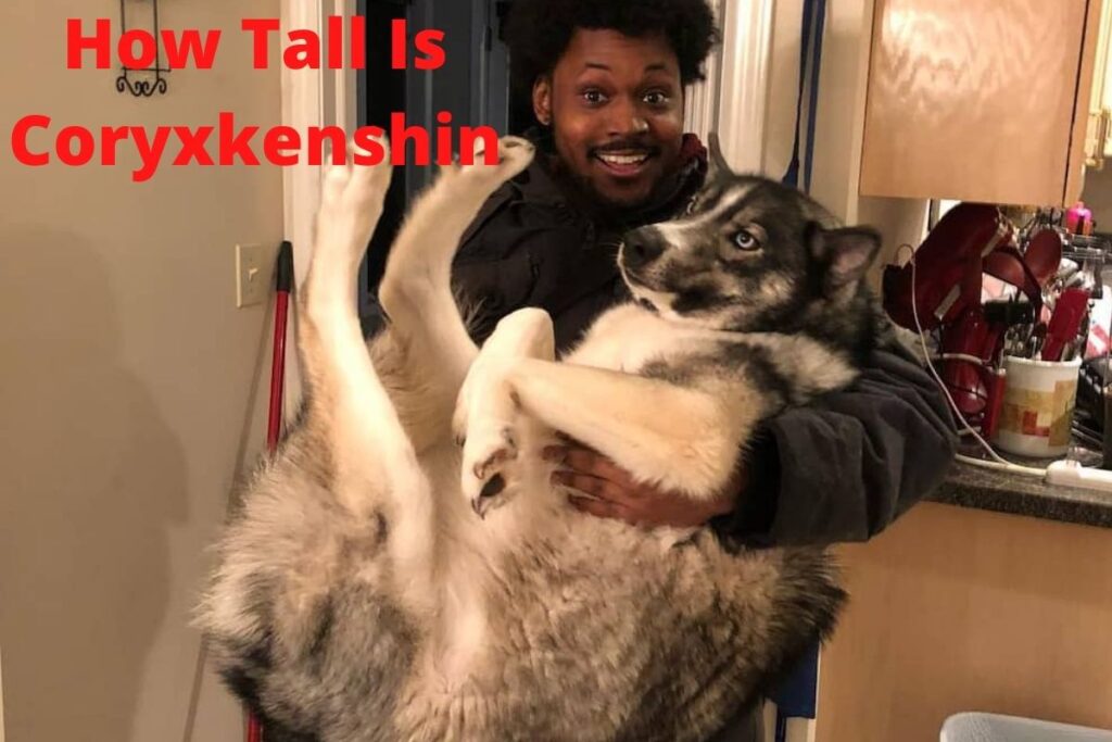 How Tall Is Coryxkenshin