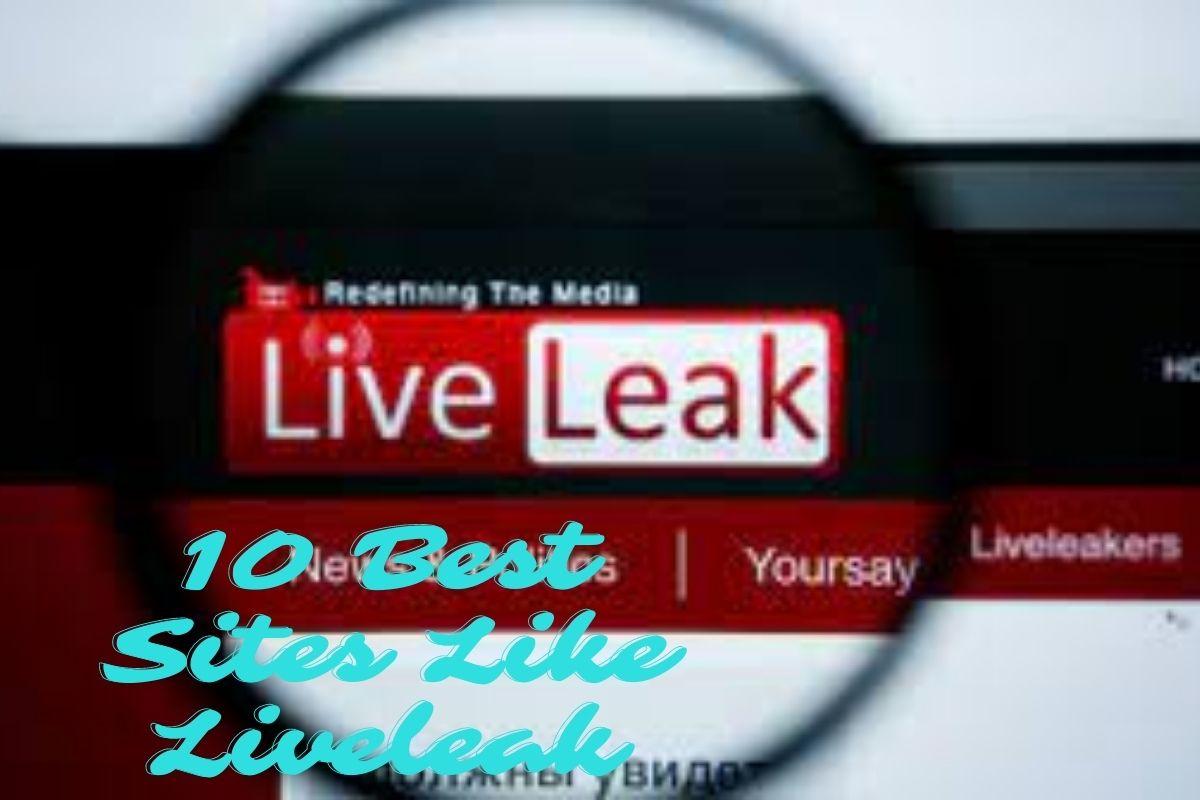 10 Best Sites Like Liveleak