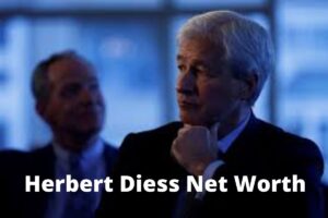 Herbert Diess Net Worth