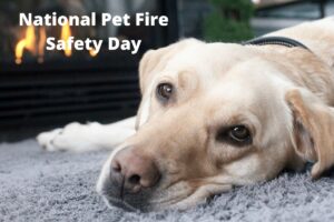 National Pet Fire Safety Day