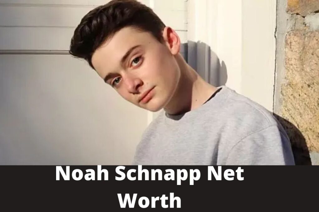 Noah Sachnapp Net Worth