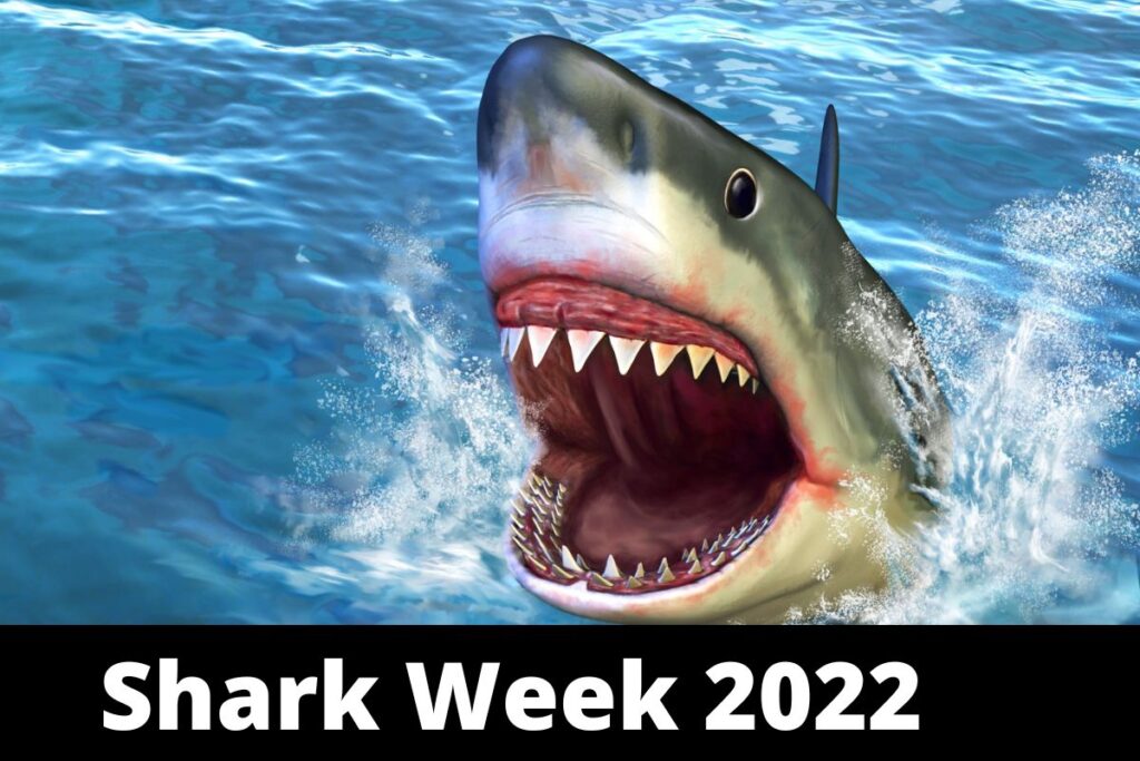 Shark Week 2022