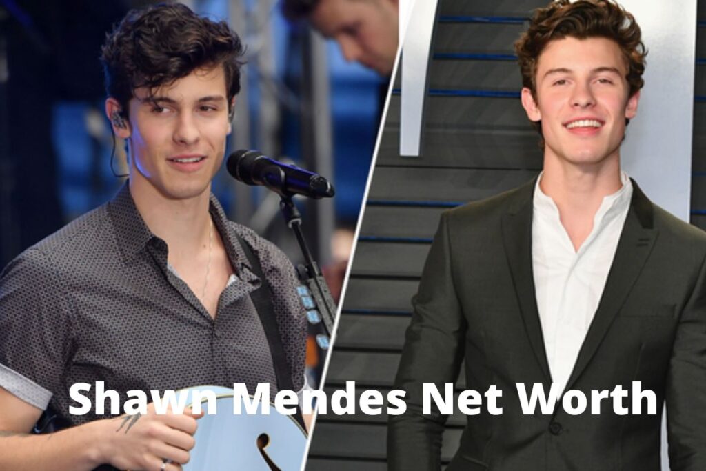 Shawn Mendes Net Worth