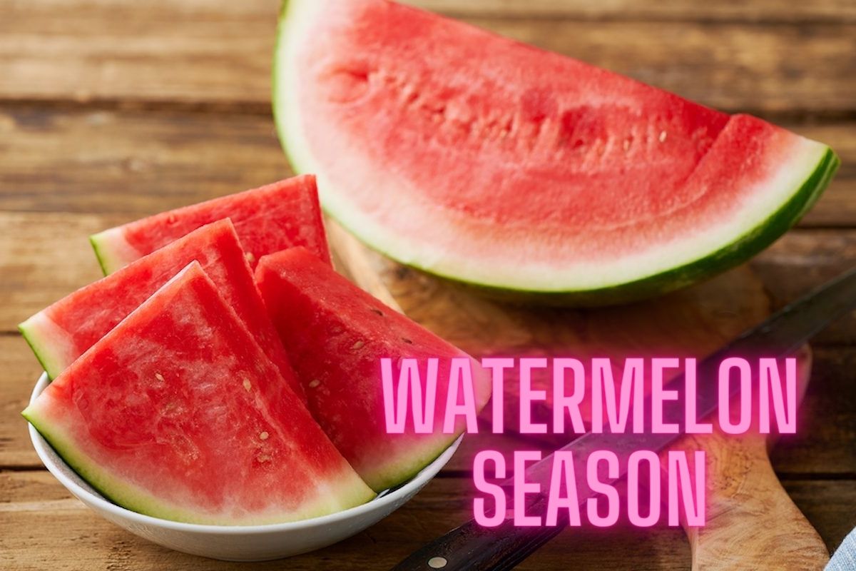 Watermelon Season 