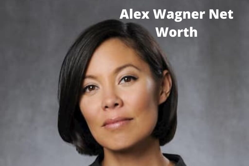 Alex Wagner Net Worth