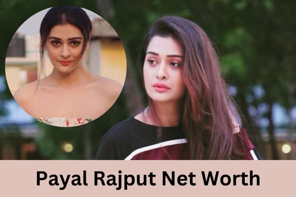 Payal Rajput Net Worth