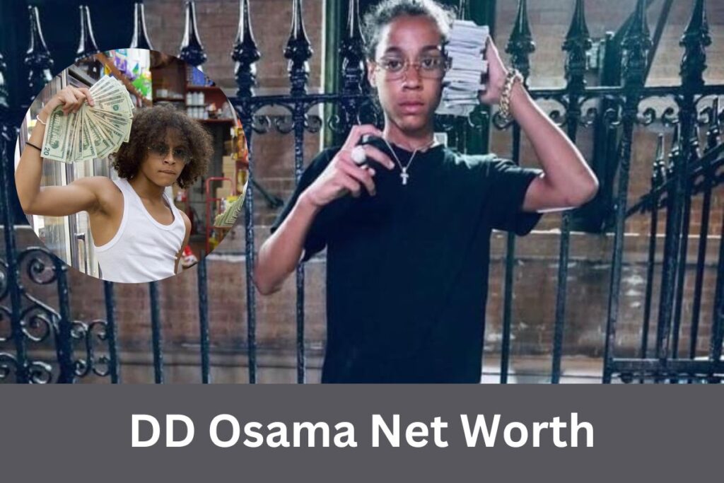 DD Osama Net Worth