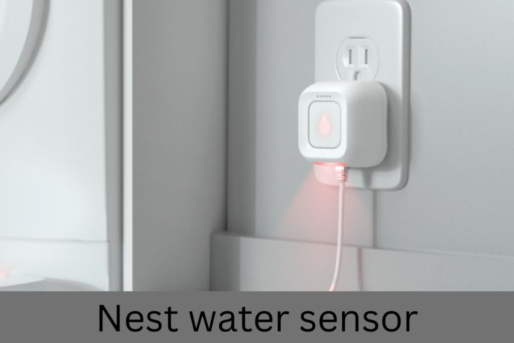 nest water sensor