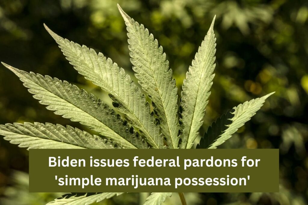 Simple Marijuana Possession