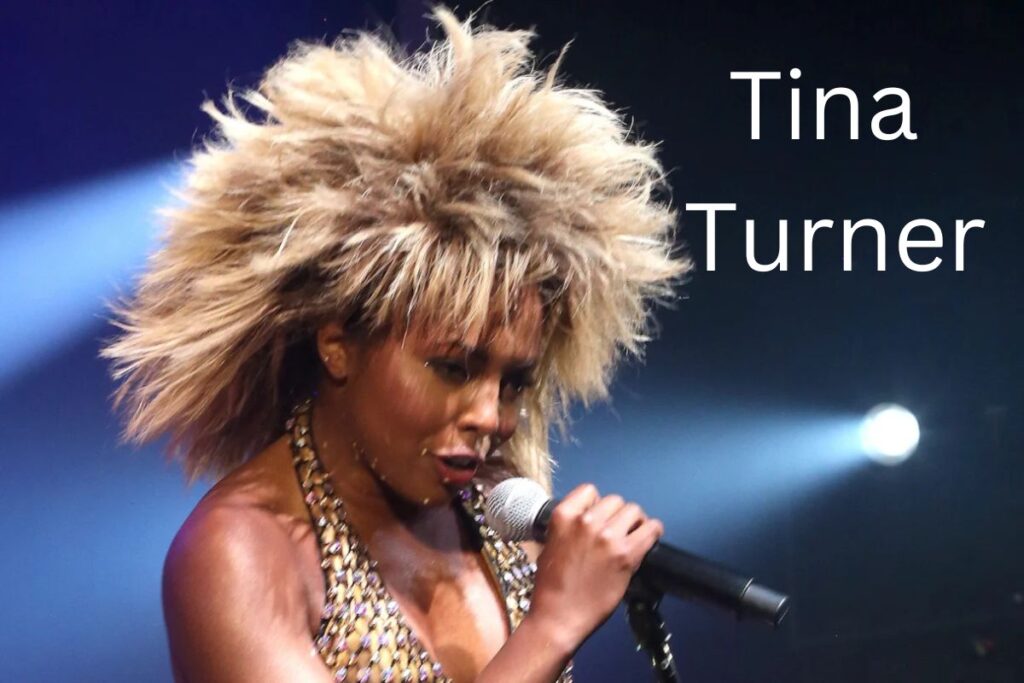 Tina Turner Net Worth