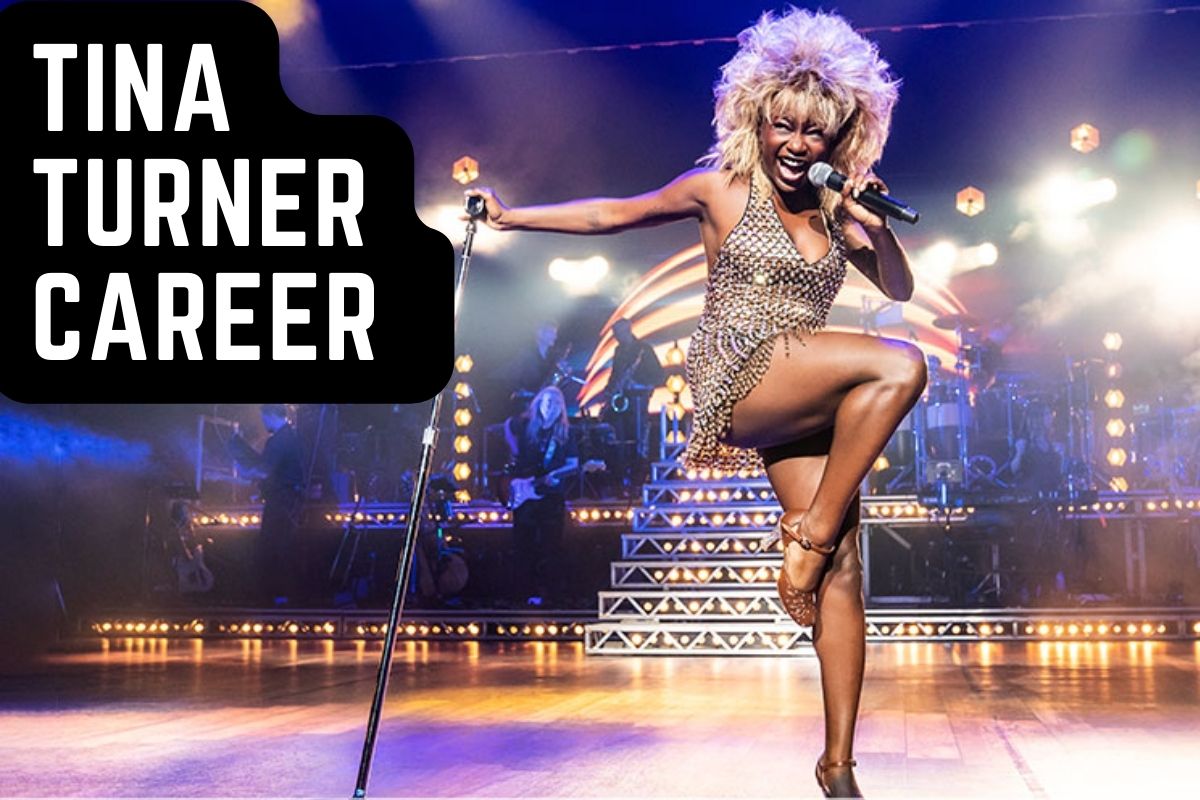 Tina Turner Net Worth