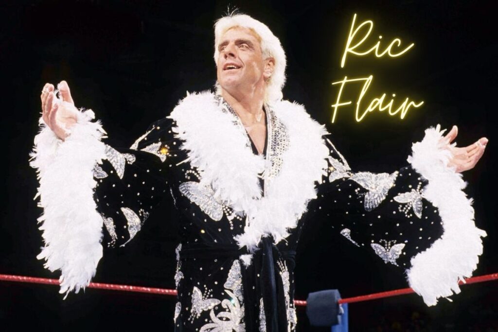 Ric Flair Net Worth