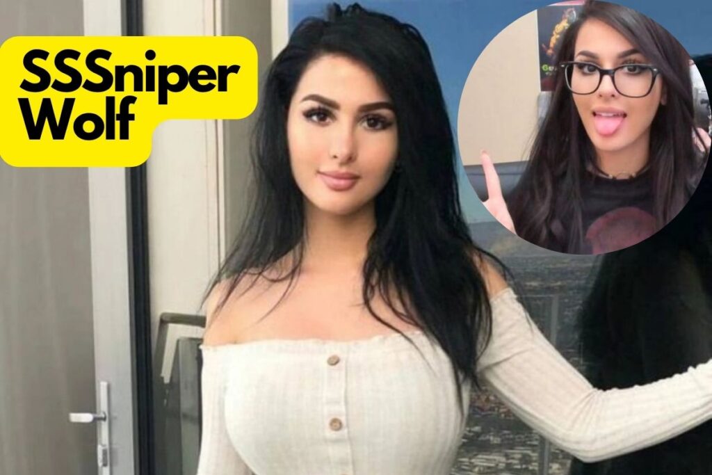 SSSniperWolf Net Worth