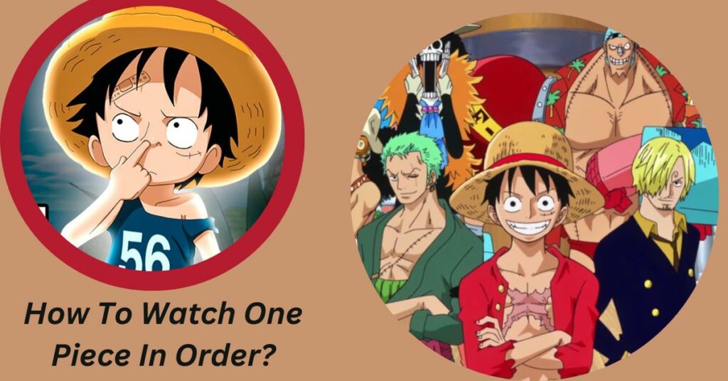 How To Watch One Piece In Order?