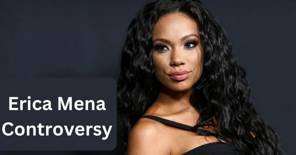 Erica Mena Controversy